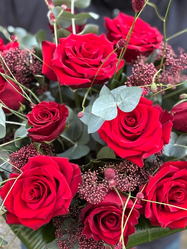 A rich red dozen roses.