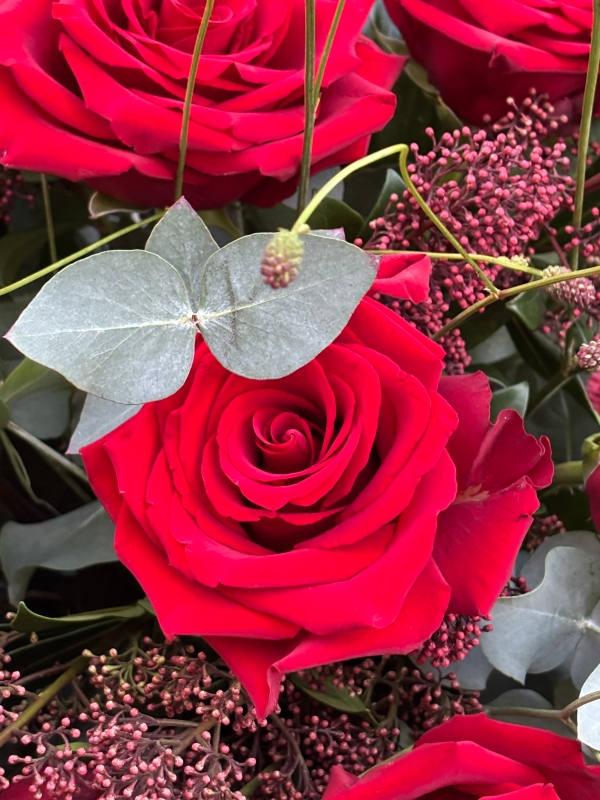 A rich red dozen roses.