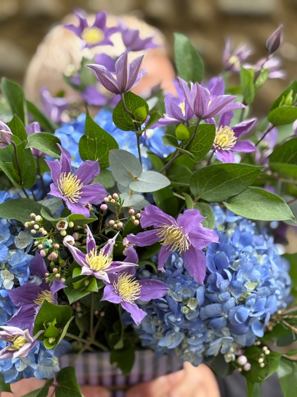 Blousy Hydrangea and Clematis.