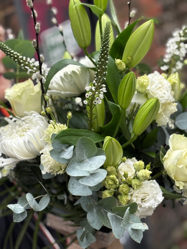 Classic whites and greens.