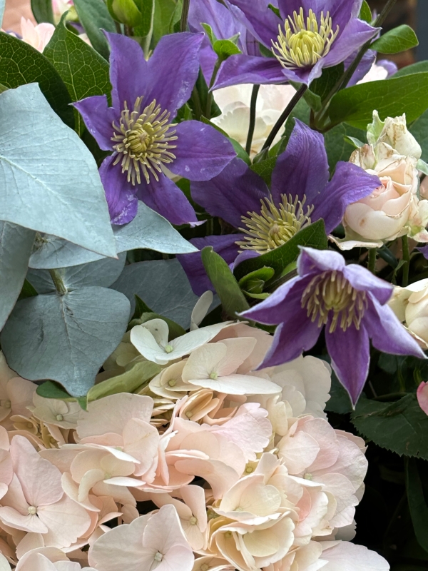 Pink Hydrangea and lilac Clematis.