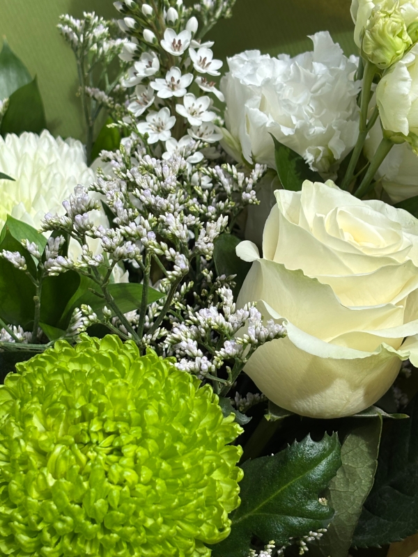 Seasonal whites and greens Gift bag.