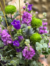 Blue, Purple and Lime.