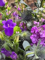 Blue, Purple and Lime.