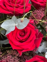 A rich red dozen roses.