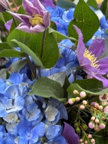 Blousy Hydrangea and Clematis.