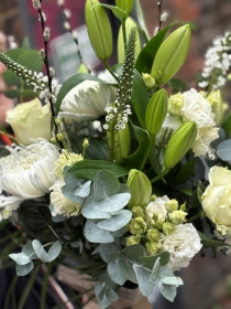 Classic whites and greens.