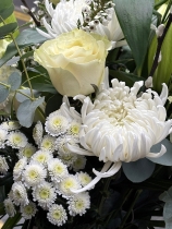 Classic whites and greens.