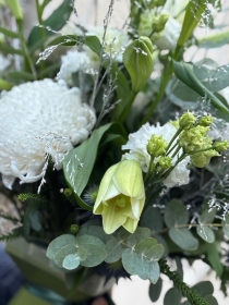 Shimmering whites